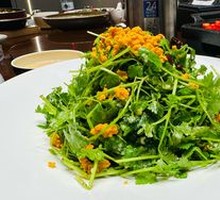 Sea Urchin with Celery Sprouts