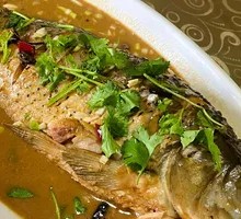 Braised Carp in Red Sauce