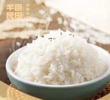 Steamed Rice