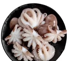 Fresh Small Octopus