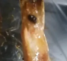 Grilled Shrimp