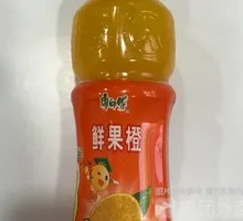 Fresh Orange Fruit