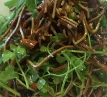 Coriander and Tofu Skin Salad