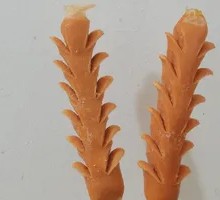 Crispy Bone Marrow Sausage