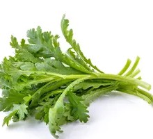 Chinese chrysanthemum greens