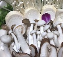 Mushroom Assortment Platter