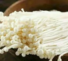 Enoki Mushroom