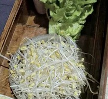 Bean sprouts