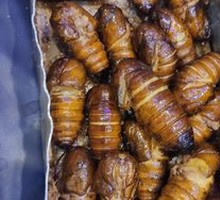 Aluminum Box Silkworm Pupae