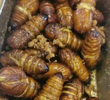 Roasted Silkworm Pupa