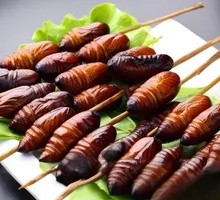 Aluminum Box Silkworm Pupae