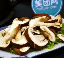 Shiitake Mushroom