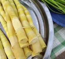 Bamboo Shoot