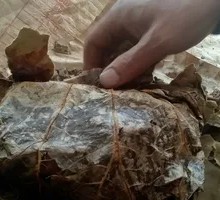 Zhenzong Changshu Beggar's Chicken