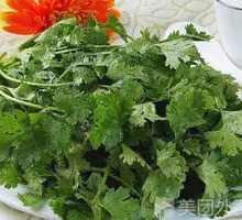 Cilantro