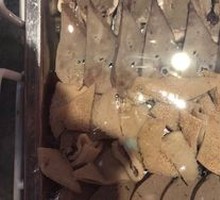 Mixed Lamb Offal Platter