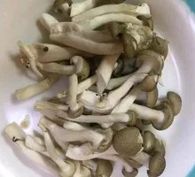 King Oyster Mushroom