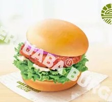 Seasonal Vegetable Grilled Chicken Burger