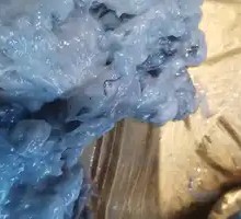 Black House Shrimp Slurry