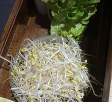 Bean sprouts
