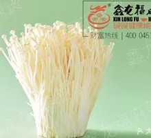 Enoki Mushroom