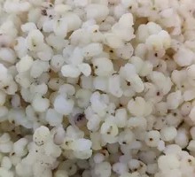Foxtail Millet Rice