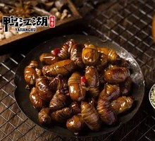 Silkworm pupae