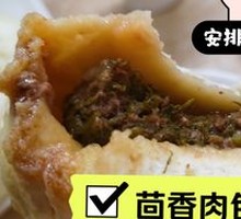 Fennel Beef Dumplings