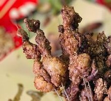 Pork Kidney
