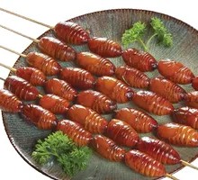 Silkworm pupae