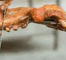 Signature Roasted Lamb Leg