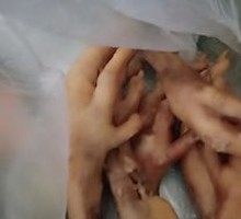 Chicken Feet