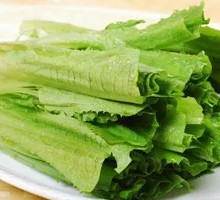 Oilseed lettuce