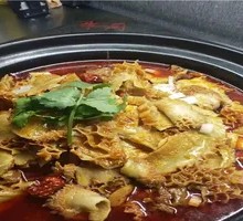 Beef Tripe and Tendon Hot Pot