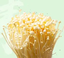 Enoki Mushroom