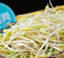 Bean sprouts