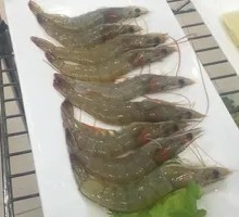 Bamboo-Shaped Shrimp