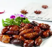 Crispy Fried Cicada Nymphs