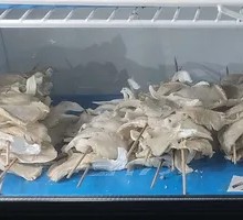 Crispy Fried Mushrooms