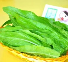Oilseed lettuce