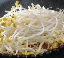 Mung Bean Sprouts