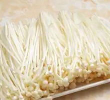 Enoki Mushroom