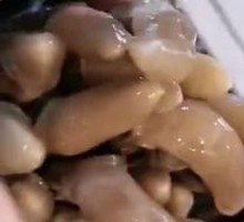 Spicy Stir-fried Clams