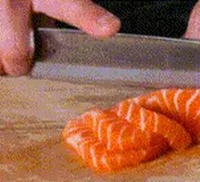 Salmon