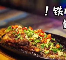 Signature Iron Plate Crucian Carp