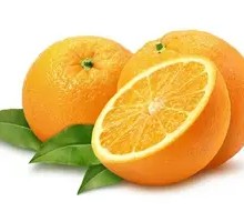 Imported Orange Dessert