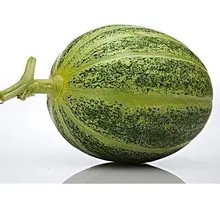 Thunder and Lightning Cucumber