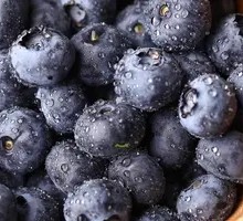 Fresh Blueberries