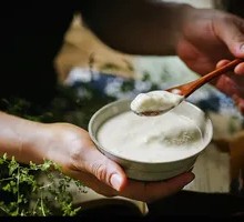 Oat Low-Calorie Grain Yogurt Cup