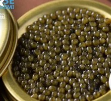 Sturgeon Caviar